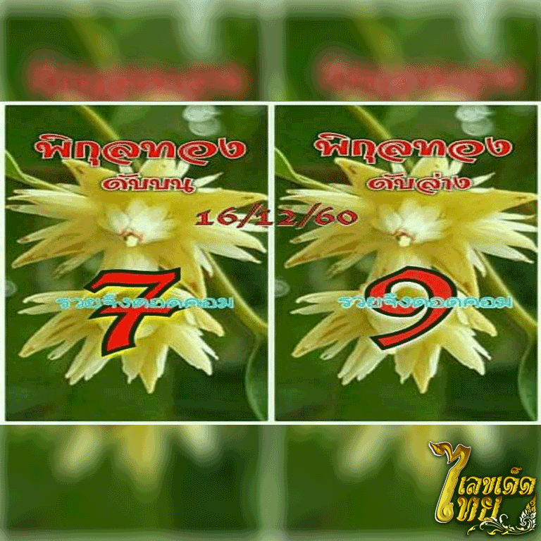 เลขดับ-พิกุลทอง