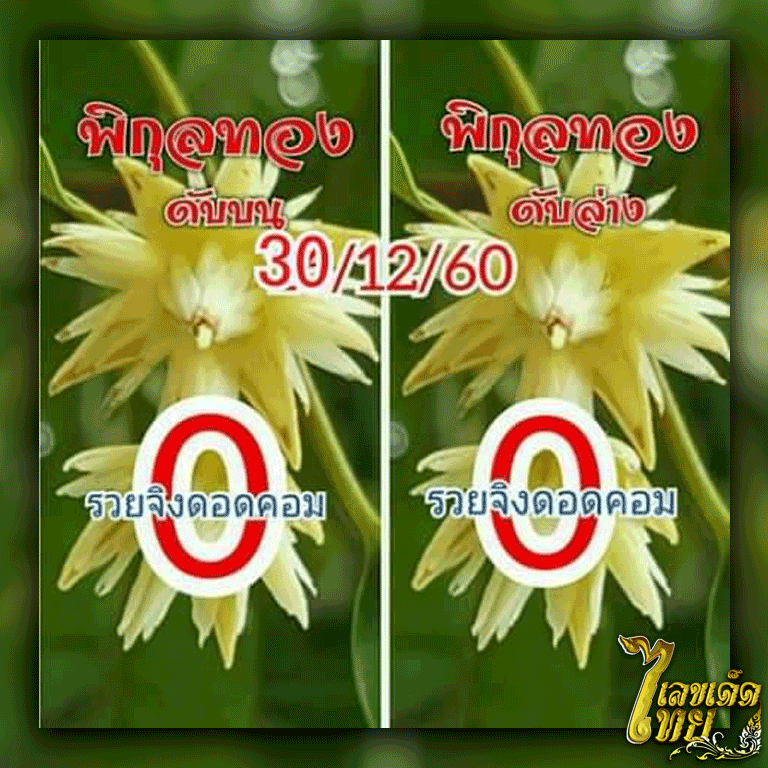 เลขดับ-พิกุลทอง