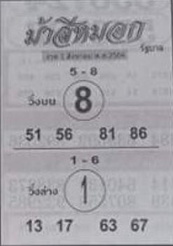 หวยม้าสีหมอก 1/8/64